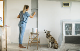 Summer Home Renovation on a Budget: Tips and Tricks from Home&Garden.ie