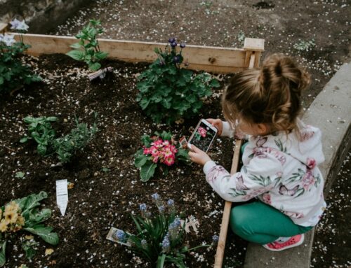 Gardening for Wellness: Cultivating Your Health and Happiness